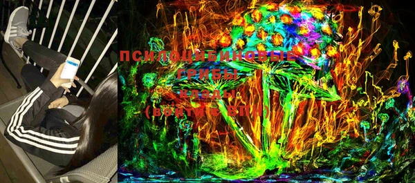 дживик Липки